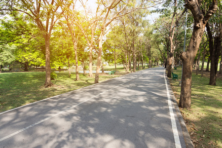 Long road with green fieldの写真素材