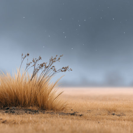 A soft spring meadow haze texture with golden grass meadow field nature landscape minimal calm serene sky horizonの素材