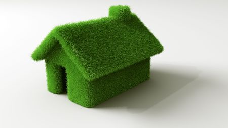 3d rendering of a small grass house.の写真素材