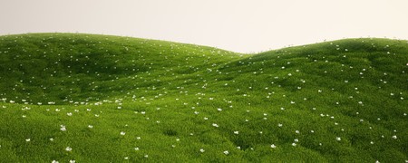 3d rendering of a green field with white flowersの写真素材