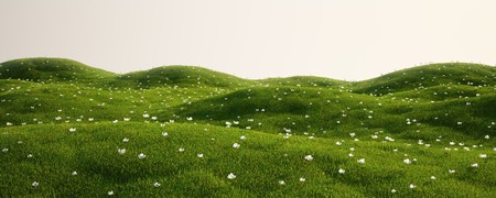 3d rendering of a green field with white flowersの写真素材