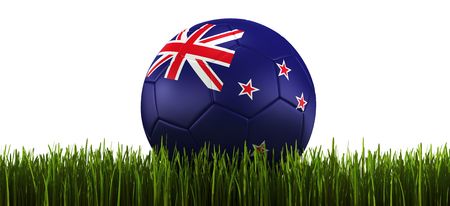 3d rendering of a New Zealander soccerball lying in grassの写真素材