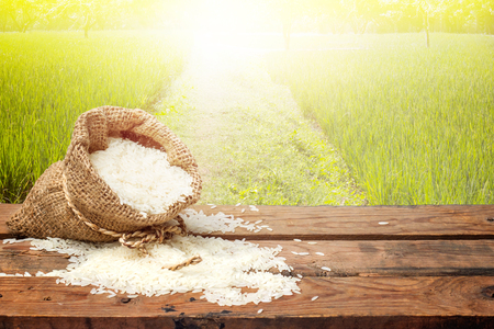 White rice in small burlap sack on wooden table with the rice field background.の写真素材
