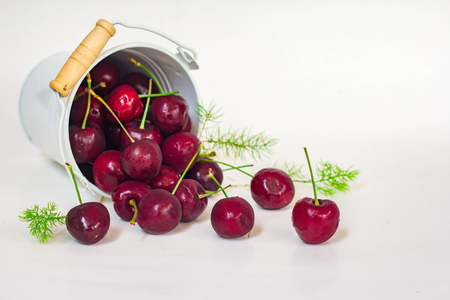 Cherries on white backgroundの写真素材