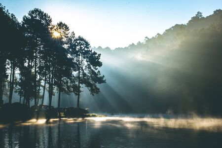 Beautiful nature lake and pine forest in the morning at Pang Ung(Pang Tong Reservoir) in Mae Hong Sonの写真素材