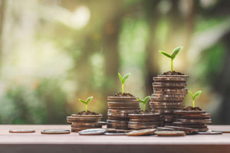 Coin stack growing graph with plant growing on coins and green bokeh background-Business Finance, Investment and Saving money concept.の写真素材