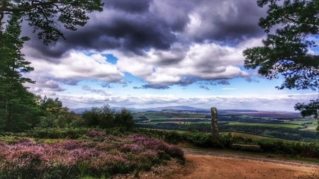 Standing Stoneの素材