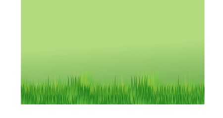 Beautiful summer landscape -  green grass. vector illustration isolated illustrationのイラスト素材