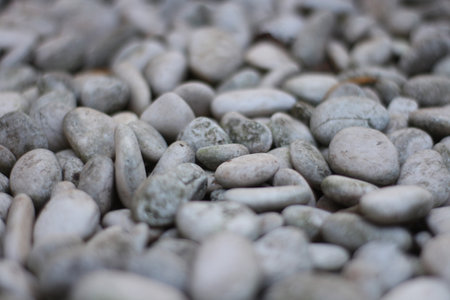 White pebbles on the beach, close-up background.の写真素材