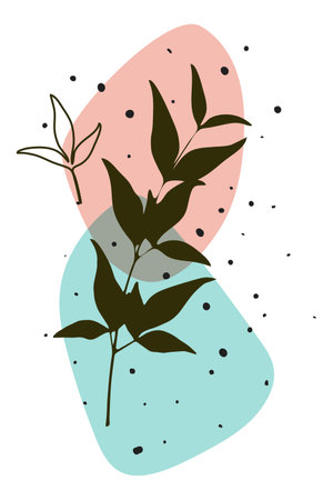 Vector botanical realistic poster, boho minimalistic wall art, abstract shapes, transparent effectのイラスト素材
