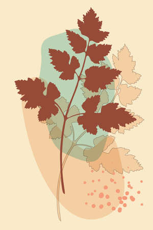 Vector botanical poster, minimalistic boho style, leaves branch, abstract shapes, earth palette colorsのイラスト素材