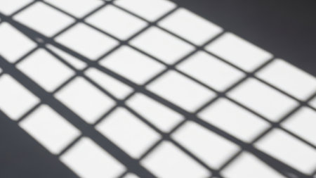 This image features a detailed shadow of a grid pattern on a transparent background. The shadow is cast on a flat surface, creating a visually appealing contrast against the white backdrop. The image is optimized for SEO and suitable for various design purposes.の素材