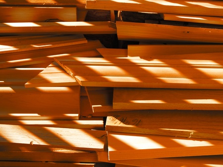 Shadow Woodの写真素材