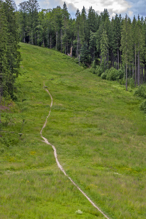 small trail in the green summer mountainsの写真素材