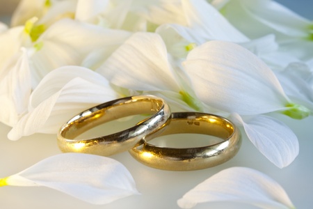 Wedding ringsの写真素材