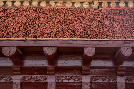 Roof detail of monastery in Leh