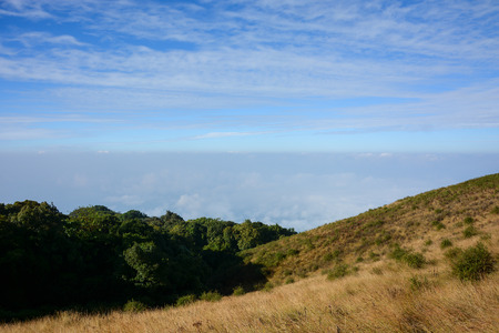 Field on mountain landscape , mist and blue sky in winter of Chiang mai , Thailandの写真素材