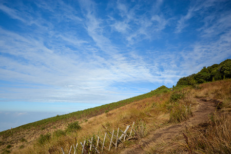 Field on mountain landscape with blue sky in winter of Chiang mai , Thailandの写真素材