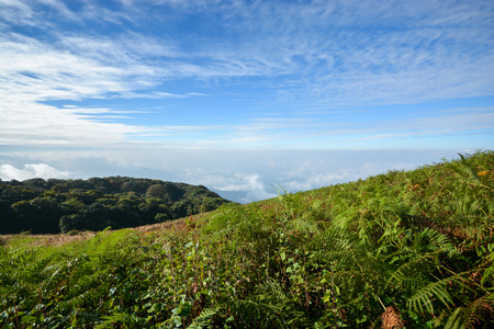 Green field on mountain landscape with blue skyの写真素材