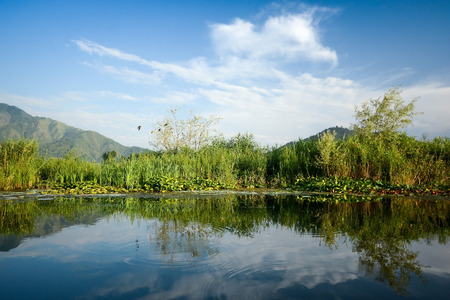 Lake landscape reflection in Srinagar, Indiaの写真素材