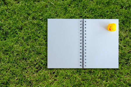 white page of notebook on grass textureの写真素材