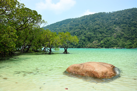 The tropical sea of Thailand with mangrove trees and stone in the waterの写真素材