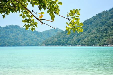Andaman Sea and branches of tree in foregroundの写真素材