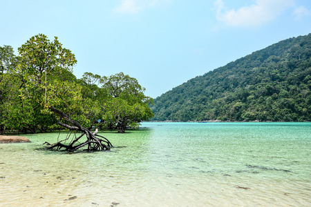 The bay of Surin island in Andaman sea, Thailandの写真素材