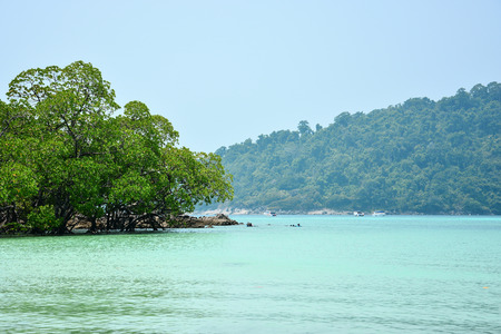 scenic view of Andaman sea, Mu Ko Surin national park, Thailandの写真素材