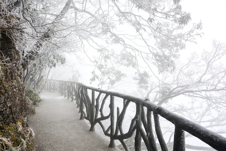 The way under trees with snow in winter at Tianmenshan national park, Chinaの写真素材