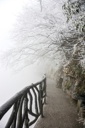 The way under trees with snow in winter at Tianmenshan national park, Chinaの写真素材
