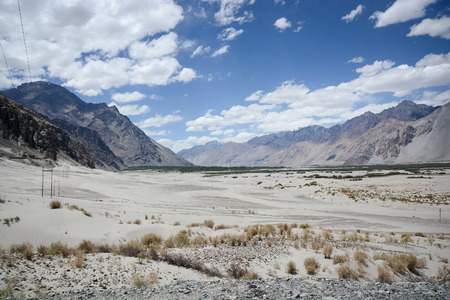 Desert of Nubra valley at Ladakh, Jammu and Kashmir, Indiaの写真素材