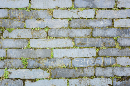 Abstract grunge broken brick floor pattern with grassの写真素材