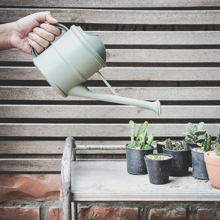 watering can and group of cactus in the potsの写真素材