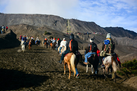 JAVA INDONESIA  JAN 24 : Tourists ride the horses to the crater of the volcano at Mount Bromo on January 242013 in Java Indonesia.のeditorial素材