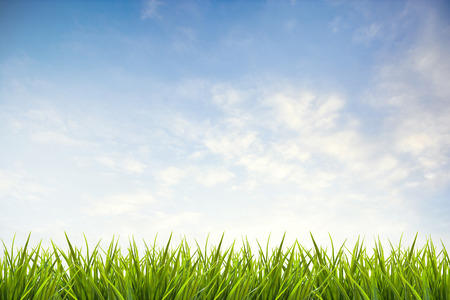 Grass grass under blue sky and clouds backgroundの写真素材