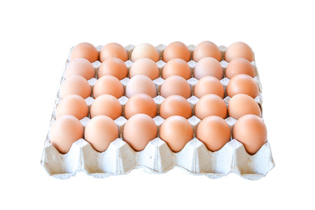Chicken eggs in paper tray isolated on white backgroundの写真素材