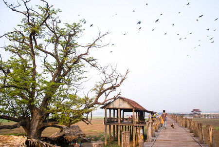 Ubein Bridge the longest wooden bridge in the world at Mandalay Myanmarの写真素材