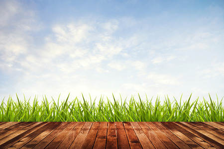Fresh spring green grass with blue sky and wood floorの写真素材