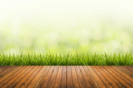 Fresh spring grass with green nature blurred background and wood floorの写真素材
