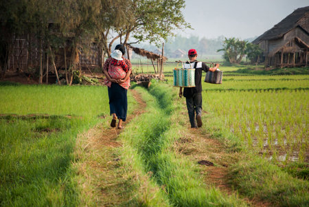 INLE MYANMAR  APRIL 11 2012 : Unidentified family walk on the way among rice field in the village near Inle lake Shan state Myanmar.のeditorial素材