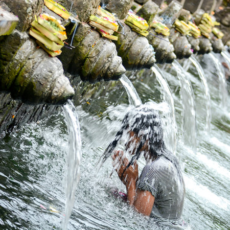 BALI INDONESIA  JANUARY 17: Worshippers make an offering at the Tirta Empul Temple on January 17 2013 in Bali Indonesia. They believe that water from the spring is holy and has the healing power.のeditorial素材