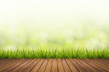 Fresh spring grass with green nature blurred background and wood floor