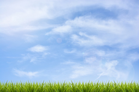 Grass grass under blue sky and clouds backgroundの写真素材
