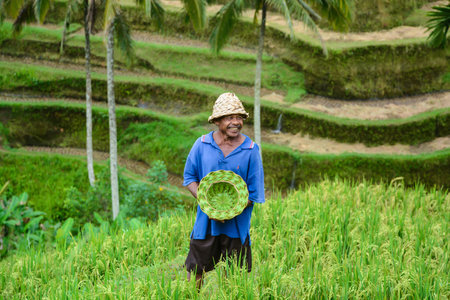 BALI, INDONESIA - JANUARY 17, 2013 : Man sells green handmade hat at rice terrace in Bali, Indonesia.のeditorial素材