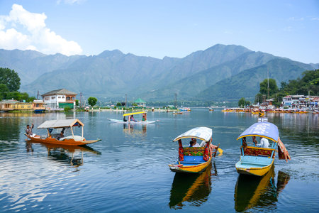 SRINAGAR, INDIA - JULY 11, 2014 : Lifestyle in Dal lake, local people use Shikara, a small boat for transportation in Dal lake of Srinagar, Jammu and Kashmir state, Indiaのeditorial素材