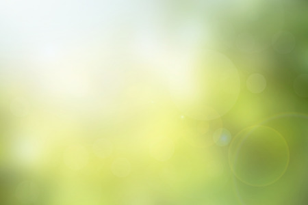 Abstract green nature blurred background with bright sunlight, flare and bokeh effect, use for backdrop or web design in environment concept Abstract green nature blurred background with bright sunlight, flare and bokeh effect, use for backdrop or web design in environment concept