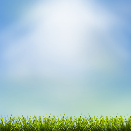 Fresh green grass under blue sky ,clouds and sunlight of summer backgroundの写真素材
