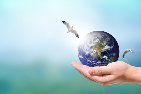 Male hands holding the Earth and birds fly around on nature tone blurred backgroundの写真素材