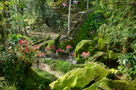 Balinese garden, the beautiful tropical garden in Bali, Indonesiaのeditorial素材